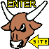 Enter Site